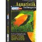 [ вся страна стоимость доставки 360 иен соответствует ] AquaristikFachmagazin &amp; Aquarium heute2003*05 номер NR173 [ ограничение 2 шт ]