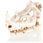 [ бесплатная доставка по всей стране ] Vaio Kimi arepti Skull носорог новый товар 