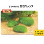 GEX 小さな和の庭 苔石ミックス