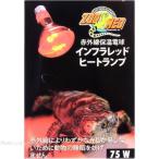  Zoo medo Japan in fla красный hi- карты 75W