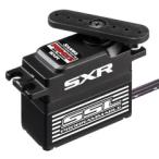  Sanwa (SANWA)/107A54524B/PGS-CXIISSL соответствует программируемый servo ( крутящий момент модель )