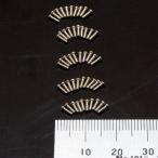 [ кошка pohs соответствует ]ABC хобби (ABC HOBBY)/69311/ надкрылок винт ( серебряный )50 шт. входит 