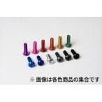 【ネコポス対応】R31HOUSE(R31ハウス)/R31M059PUB/ジュラルミンヘックスボタンビス M3×8mm 5個入り パープル