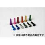 【ネコポス対応】R31HOUSE(R31ハウス)/R31M060PUB/ジュラルミンヘックスボタンビス M3×10mm 5個入り パープル