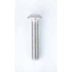 【ネコポス対応】Reve D（レーヴ・ディー）/RC-BH315S/ステンレス製 ボタンヘッドスクリュー (M3×15mm、8本入)