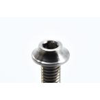 [ кошка pohs соответствует ]Reve D(re-vu*ti-)/RT-020-10/SPM титановый кнопка head винт (M3×10mm)4 шт. входит * старый номер товара :RT-010-10