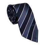 ダニエルウェリントン ネクタイ BLUE Daniel Wellington DW02500004/264506 代引不可