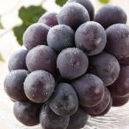  Okayama pio-ne вид нет подарок на Bon Festival подарок по случаю конца года зима подарок новогодние каникулы ваш заказ гурман подарок .. оплата при получении не возможно 