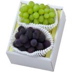  Okayama автомобиль in мускат pio-ne еда подарок на Bon Festival средний изначальный подарок подарок .. еда ... ... для подарок ... было использовано 20230210370 оплата при получении не возможно 