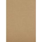 TRUSCO 段ボールシート 210x297 DS2129 梱包用品 梱包結束用品 ダンボール 代引不可