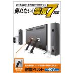 エレコム TV用耐震ベルト ~40V用 強力粘着シールタイプ 2本入 TS-001N2 代引不可 メール便