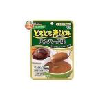 Yahoo! Yahoo!ショッピング(ヤフー ショッピング)やさしくラクケア とろとろ煮込みのハンバーグ味 80g 124801386