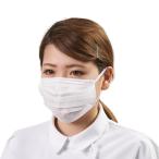 ESCO エスコ マスク 使�