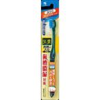 小林製薬 生葉歯間に入るブラシ コンパクト ふつう 1本 オーラル 歯ブラシ 歯周病ケア 代引不可