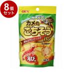 爬虫類、両生類のエサ