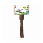 ma LUKA n bird pa отсутствует яблоко ветка пачка 