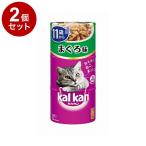 その他キャットフード