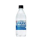 単品24個セット サント