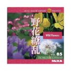 MIXA IMAGE LIBRARY Vol.85 野花繚乱 マイザ XAMIL3085