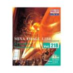 MIXA IMAGE LIBRARY Vol.218 タイ・シンガポール マイザ XAMIL3218