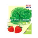 MIXA IMAGE LIBRARY Vol.220 スーパーリアルイラスト 野菜・果実 マイザ XAMIL3220