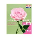 MIXA IMAGE LIBRARY Vol.246 シンプル・フラワー1 マイザ XAMIL3246
