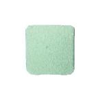 TRUSCO Trusco нескользящий лента наружный для 40mmX40mm белый TNS4040W