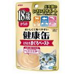 (まとめ)アイシア 18歳からの健康缶パウチまぐろペースト40g 〔猫用・フード〕〔ペット用品〕〔×48セット〕 代引不可