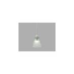 アイリスオーヤマ LEDペンダントライト LED電球セット Lapin ガラス調 Sサイズ クリアグリーン PL5LE17CG1G