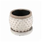 Yahoo! Yahoo!ショッピング(ヤフー ショッピング)TERRACOTTA BUBBLE POT S テラコッタ バブル ポット S G20-0194S DULTON ダルトン おしゃれ かわいい 代引不可