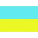 東京製旗 国旗No.1 70×105cm ウクライナ 416142 代引不可
