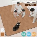 водонепроницаемый ковер 3 татами 200cmx250cm прямоугольный квадратный антибактериальный . грязный царапина предотвращение средний кровать ковер домашнее животное ребенок ... ковровое покрытие коврик пол подогрев соответствует под дерево сделано в Японии оплата при получении не возможно 