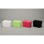 アイリスオーヤマ カラーバスケット（フタ付） CBボックス ライトグリーン　CBK-38DT