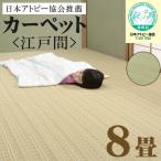 日本アトピー協会推薦カーペット 江戸間8畳 ラグ ラグマット カーペット 防ダニ 代引不可