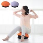 スライヴ バランスボーイ ミニ ながらトレーニング コンパクト バランス運動 エクササイズ フィットネス 代引不可