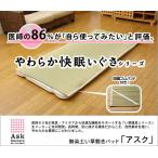 医師との共同開発 い草寝具 『アスク 汗取P』 シングル 約100×200cm