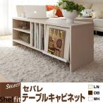 セパレ SEテーブルキャビネット SE-TABLE(ローテーブル)。フラップ扉、縦仕切りA4収納。ディスプレイラック、マガジンシェルフ。幅約118cm 本棚。ナチュラル・シンプルモダン/おしゃれ収納/【リビング収納/木製】ホルムアルデヒド放