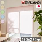  Tachikawa машина .2 класс затемнение огнестойкий roll screen ширина 170cm высота 220cmtio rio сделано в Японии tachi кожа шторы модный Северная Европа перегородка потолок установка правильный поверхность установка оплата при получении не возможно 