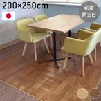 ダイニングラグ 200×250 抗菌 防カビ さらっと加工 ペット マット フローリング クッションフロア CF ラグ 犬 猫 ラグ 清潔 かわいい ダイニング 代引不可