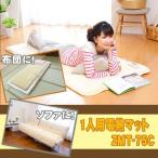 1人用電熱マット　ZMT-75C　手洗い可　ダニ退治機能　室温センサー　頭寒足熱配線 電気毛布 毛布 暖房 防寒(代引き不可)