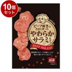 10個セット日本ペットフードビタワ...