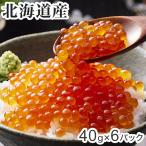 北海道産 いくら醤油漬け 40g×6 食品 ギフト プレゼント 贈答 熨斗 のし 贈り物 記念日 お祝い 冠婚葬祭 内祝 御祝 無地 出産内祝 結婚内祝 御見舞 代引不可