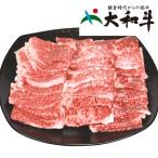 熨斗対応可能 奈良 大和牛 焼肉 食品 ギフト プレゼント 贈答　奈良 大和牛 焼肉 食品 ギフト プレゼント 贈答 熨斗 のし 贈り物 記念日 お祝い 冠婚葬祭 内祝 御祝 無地 出産内祝 結婚内祝 御見舞 快気祝 御仏前 代引不可