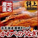 静岡県 産地直送 浜名湖産 鰻のかば焼き 特上 蒲焼五匹詰め（約140ｇ×5匹） タレ15ml、山椒5袋付 かわべのうなぎ かば焼き