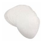 サイエルインターナシ