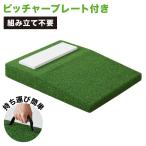 野球 練習 ポータブルマウンド 人工芝 ピッチャープレート付き 持ち運び可能 投球練習用 投球マウンド ブルペン ピッチプレート ピッチャー用