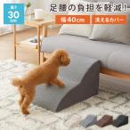 ドッグステップ 2段 スロープ 幅40cm ドッグスロープ ウレタン 撥水 クッション 踏み台 ステップ ペットステップ 室内犬 シニア犬 老犬 介護用品