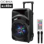 CICONIA Toro Lee динамик CTX08BS музыка динамик хобби оплата при получении не возможно 