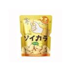 Yahoo! Yahoo!ショッピング(ヤフー ショッピング)ソイカラ チーズ味 27g 051804887