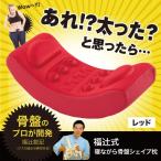 福辻式 寝ながら骨盤シェイプ枕 0070-1946